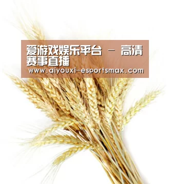 爱游戏娱乐平台 - 高清赛事直播