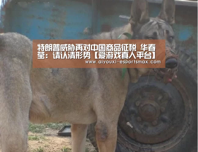 爱游戏娱乐平台