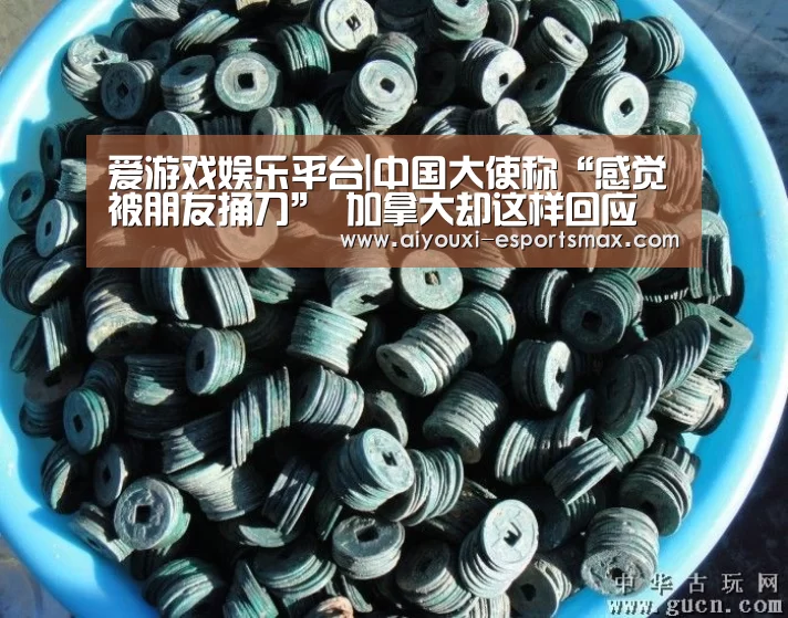 爱游戏娱乐平台|中国大使称“感觉被朋友捅刀” 加拿大却这样回应